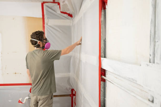 Best Basement Mold Removal  in Stephenville, TX