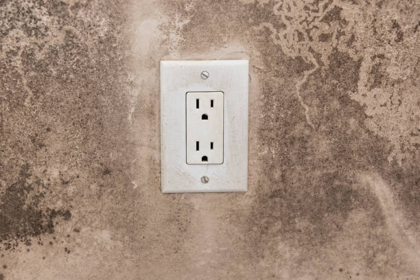Dehumidification Services in Stephenville, TX