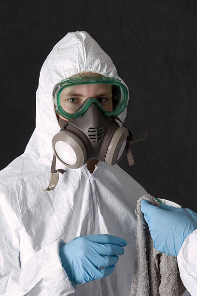 Best Mold Prevention Services  in Stephenville, TX